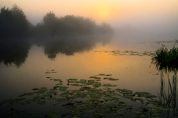 Bei Sonnenaufgang. / ***