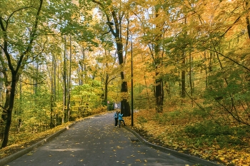 Im Herbst Park / ***