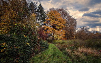 Herbst / ***