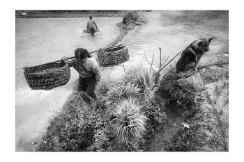 &nbsp; / &quot;Rice&amp;Icon of Vietnam&quot; B&amp;W art photo project