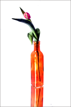 Happy 8th of March! / ***