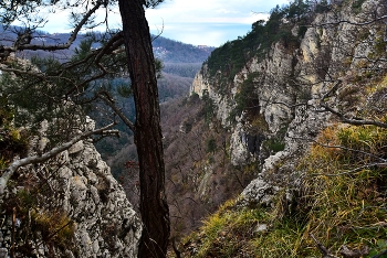 White Cliffs / ***