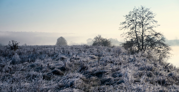 Herbstmorgen. / ***