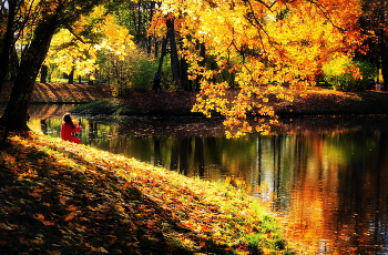 Herbst-Teich / ***