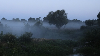 Herbststimmung. / ***