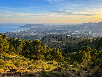 Abendlandschaft / ***