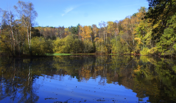 Am Waldsee / ***