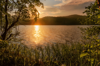 Summer Sunset / ***