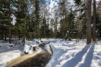 Quellwasser / ***