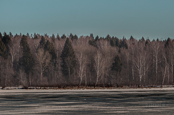 Frühlingsbilder / ***