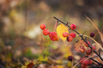 &nbsp; / https://www.youtube.com/watch?v=66PthFSRH6k