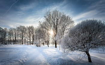 Im Winter Park ... / ***