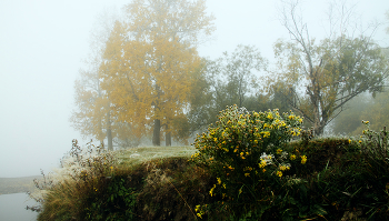 Herbststrauß / ***