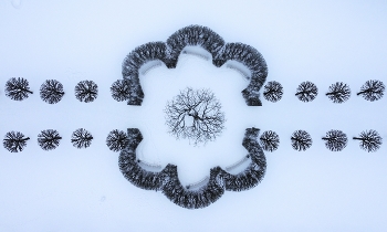 Winter-Platz / ***