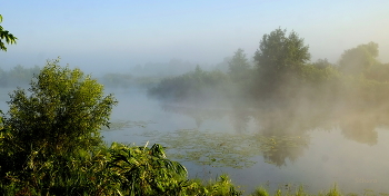 Nebel in der Morgendämmerung. / ***