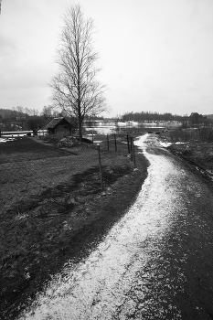Leben rund um / ***