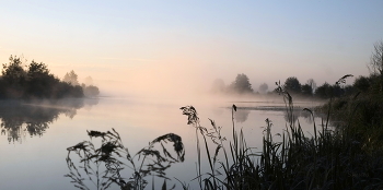 Morgendämmerung / ***