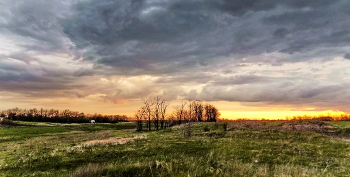 Feld / ***