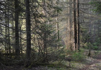 Vormittag / ____