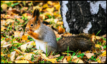 Dinner Zeit / ***