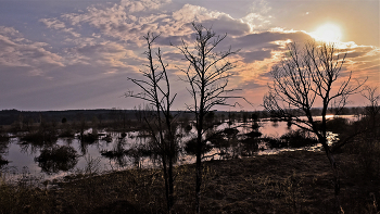 Abendlandschaft. / ***