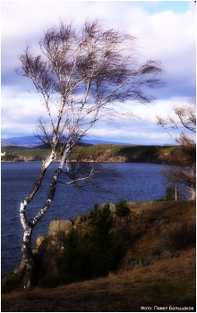 Wind / ***