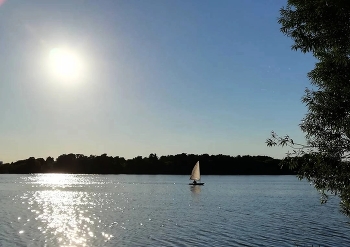 White Sail ... / ***