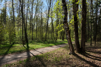 Frühling im Park / ***