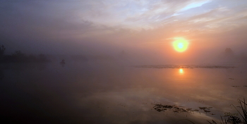 Dämmerung auf dem See. / ***