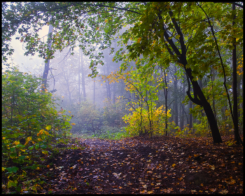 Herbst-Skizzen / ***