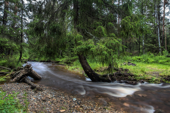 Rapids / ***