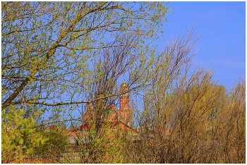 Frühling / ***