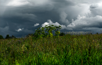 Warten auf regen / ***