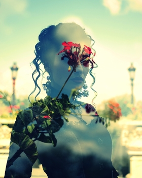  / double exposure in camera