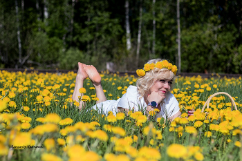 Sonnenblumen / ***