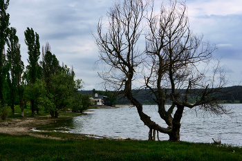 Simferopol Reservoir / ***