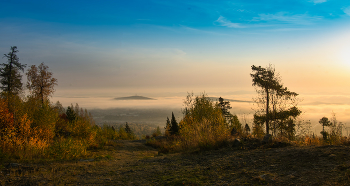 Morgennebel / ***