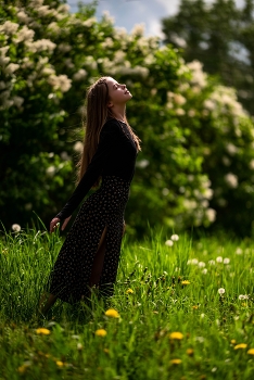 Weißer Flieder / ***