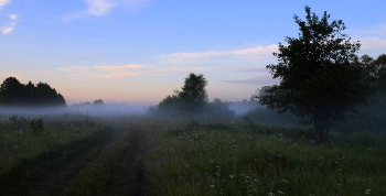 auf der Straße ... / ***