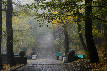 Im alten Park / ***