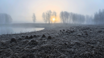 Durch den Nebel. / ***