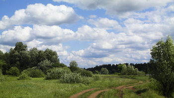 Gerade im Sommer. / ***