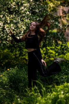 Blühende Kirsche / ***