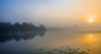 Sommermorgen. / ***