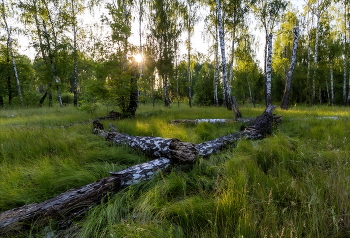 Abenddämmerung / ***