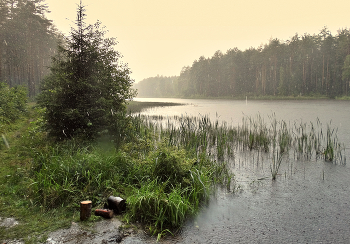 regen und Sonne / ***