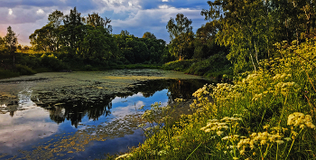 Mai Landschaft. / ***
