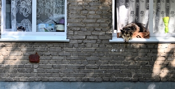 Einige Häuser / ***