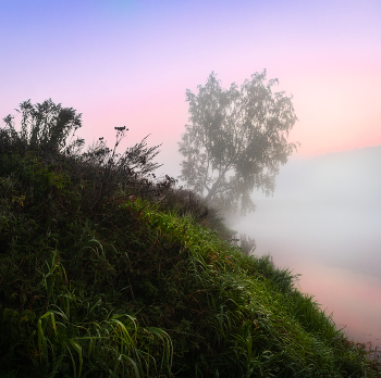 Morgendämmerung / ***