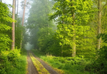 Sonniger Morgen / ***